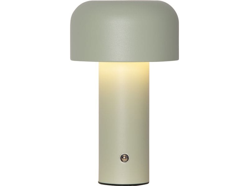 Star Trading Bobby Warmweiss-Kaltweiss,Grün