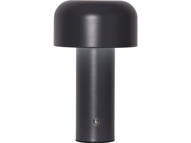 Star Trading Bobby Warmweiss-Kaltweiss,Grey