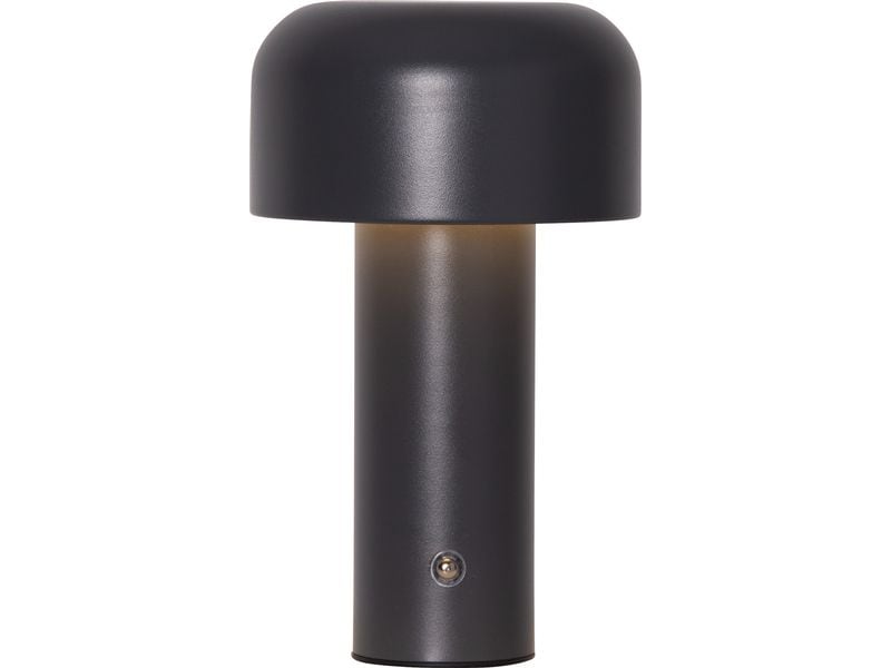 Star Trading Bobby Warmweiss-Kaltweiss,Grey