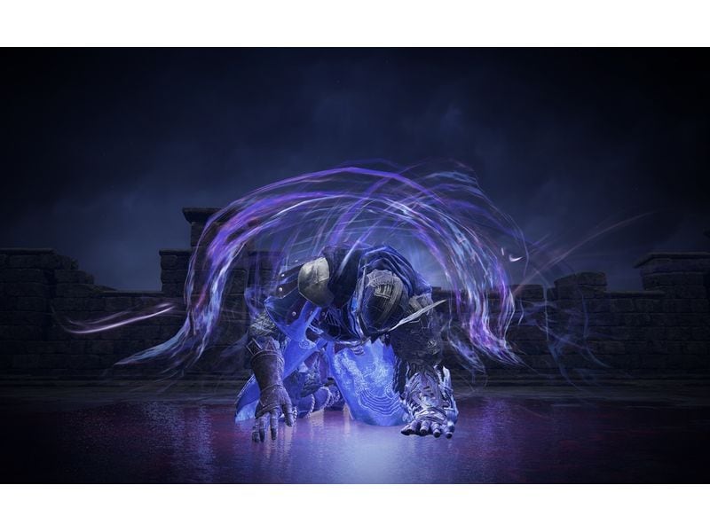 Bandai Namco Elden Ring – Nightreign Nightreign Seekers Edition