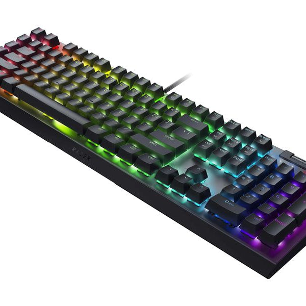 Razer Gaming-Tastatur BlackWidow V4 X