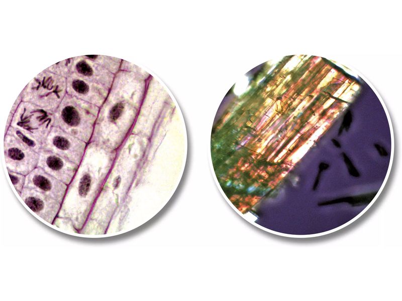 National Geographic Tele-/Mikroskop Set