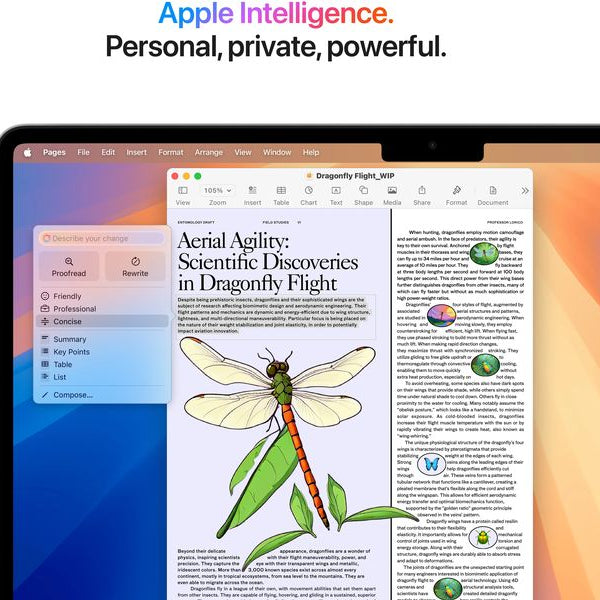 Apple MacBook Air 13