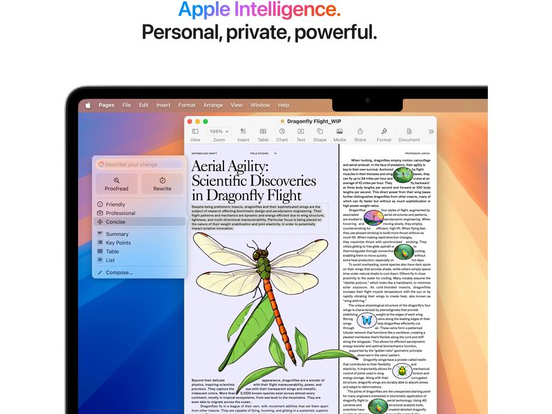 Apple MacBook Air 13" 2025 M4 10C GPU / 24 GB / 1 TB Silber