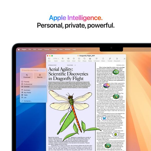 Apple MacBook Air 13