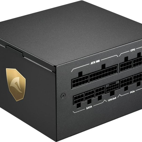 Sharkoon Netzteil Rebel P20 Platinum 1000 W, Schwarz