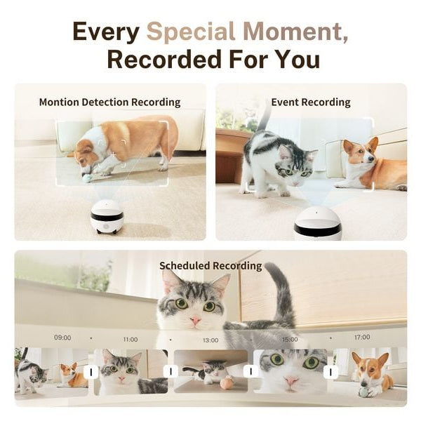 ENABOT Rola Mini Pet Monitor 2k Cam