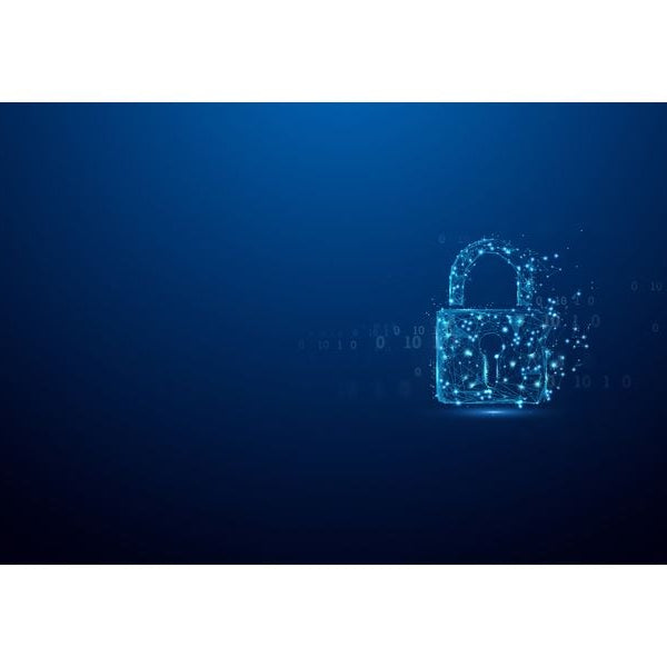 Kingston SSD DC3000ME 2.5