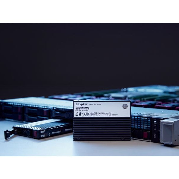 Kingston SSD DC3000ME 2.5