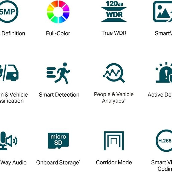 TP-Link Netzwerkkamera C450 4mm