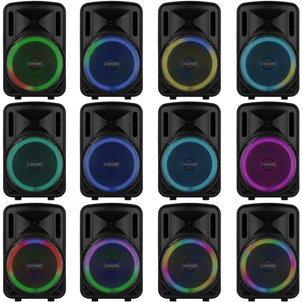 Fenton Lautsprecher FT12 LED MK2