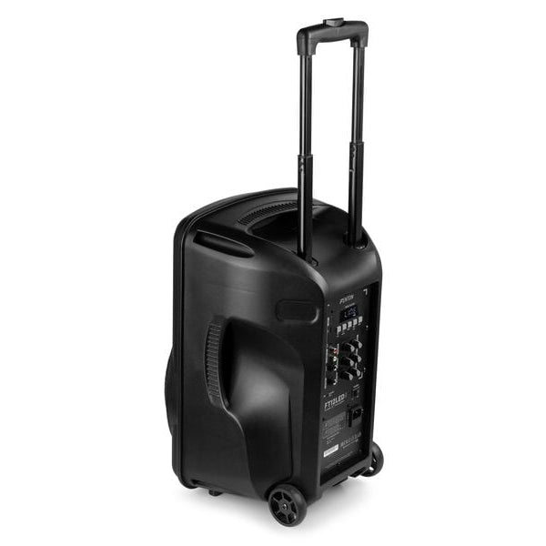 Fenton Lautsprecher FT12 LED MK2