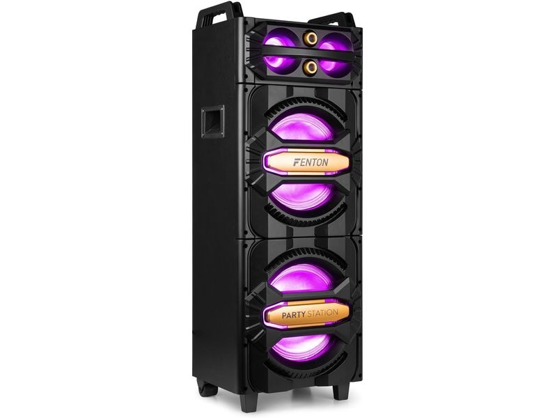 Fenton Lautsprecher LIVE2102