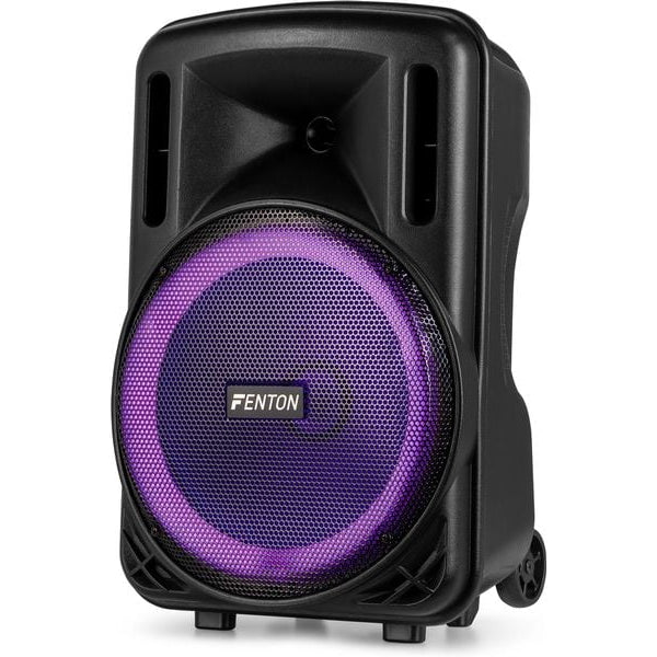 Fenton Lautsprecher FT12 LED MK2