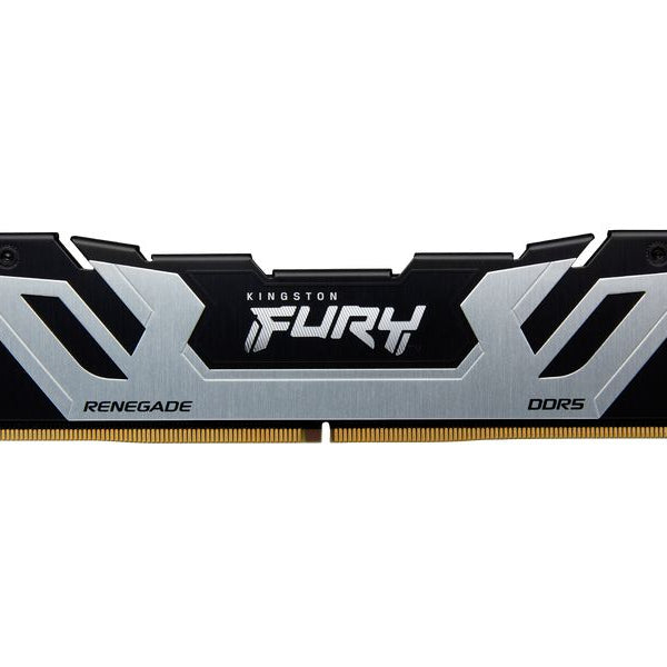 Kingston DDR5-RAM FURY Renegade 8800 MHz 1x 24 GB