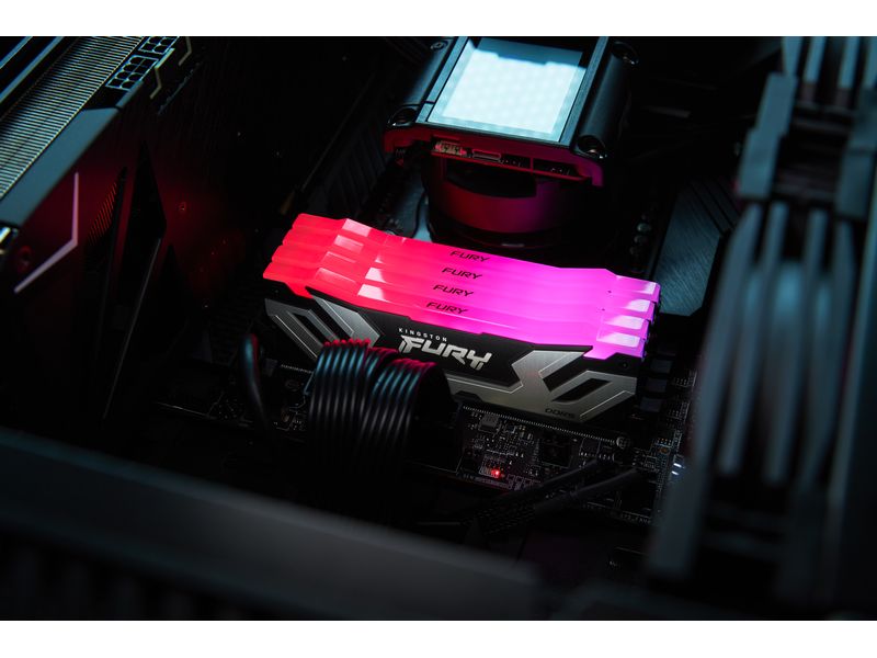 Kingston DDR5-RAM FURY Renegade RGB 8800 MHz 2x 24 GB