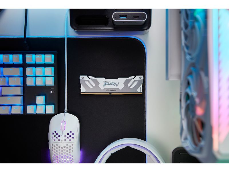 Kingston DDR5-RAM FURY Renegade White 8000 MHz 1x 24 GB