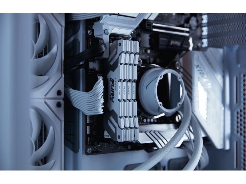 Kingston DDR5-RAM FURY Renegade 8800 MHz 2x 24 GB