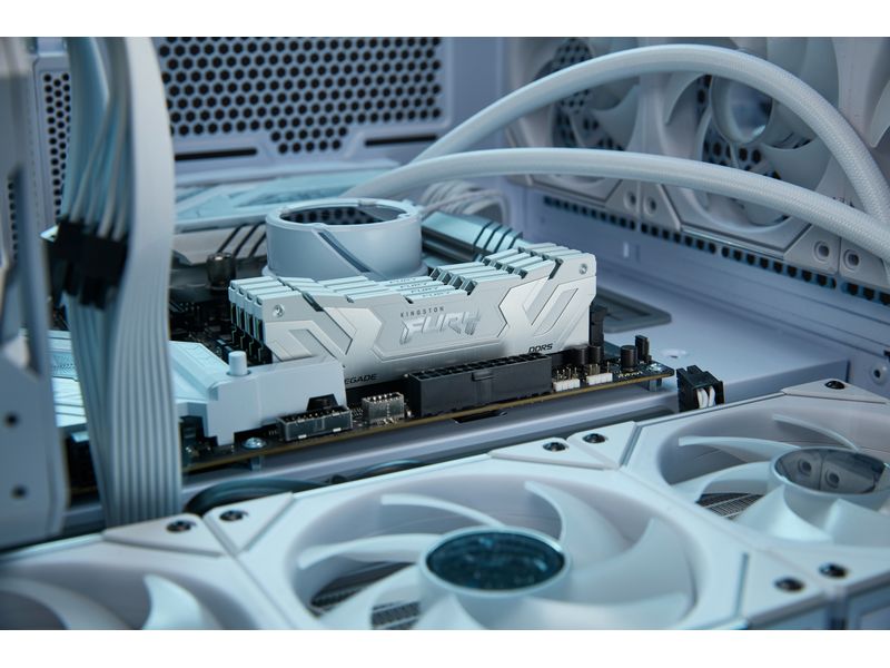 Kingston DDR5-RAM FURY Renegade 8800 MHz 1x 24 GB