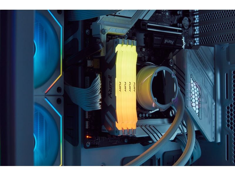 Kingston DDR5-RAM FURY Renegade RGB 8000 MHz 1x 24 GB