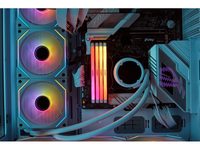 Kingston DDR5-RAM FURY Renegade RGB 8000 MHz 1x 24 GB