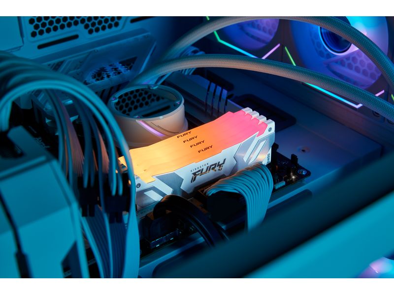 Kingston DDR5-RAM FURY Renegade RGB 8000 MHz 1x 24 GB