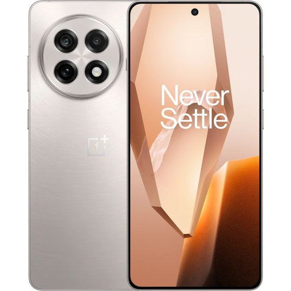 OnePlus 13R 256 GB Silver