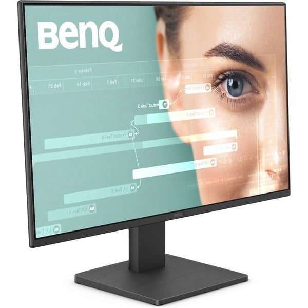 BenQ Monitor GW2491