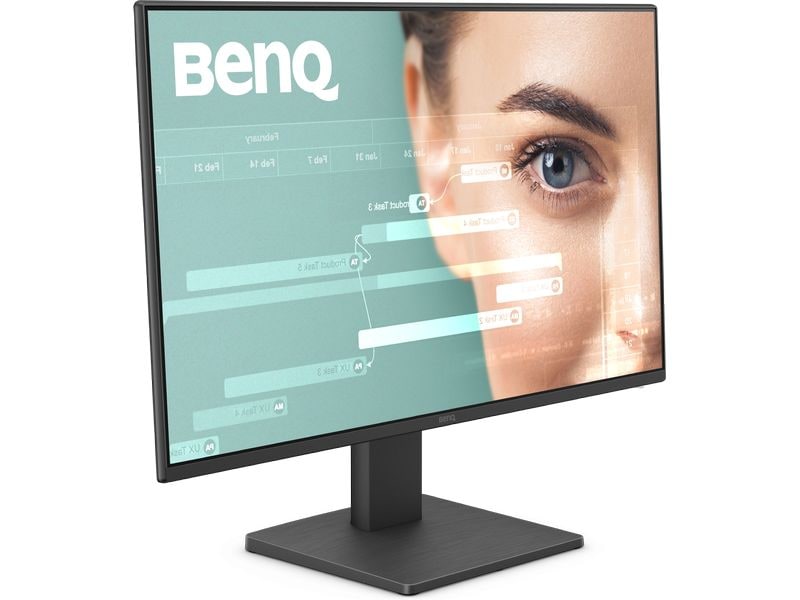 BenQ Monitor GW2491