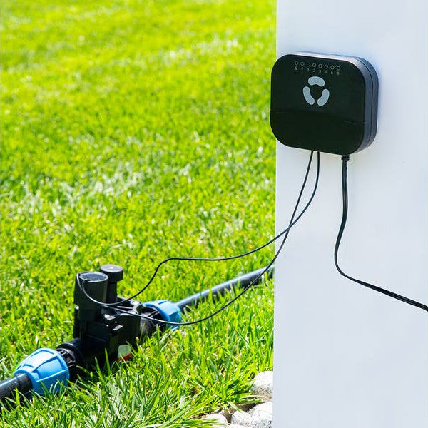 Shelly FrankEver Sprinkler FK-06X