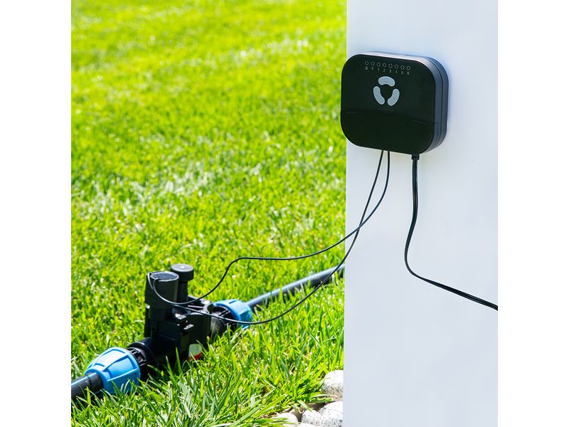 Shelly FrankEver Sprinkler FK-06X