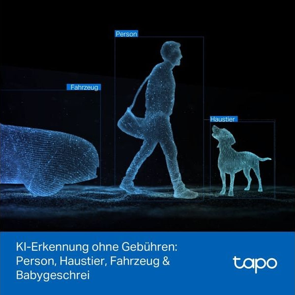 TP-Link Netzwerkkamera Tapo C246D 2K QHD, 2.4 GHz, 360°