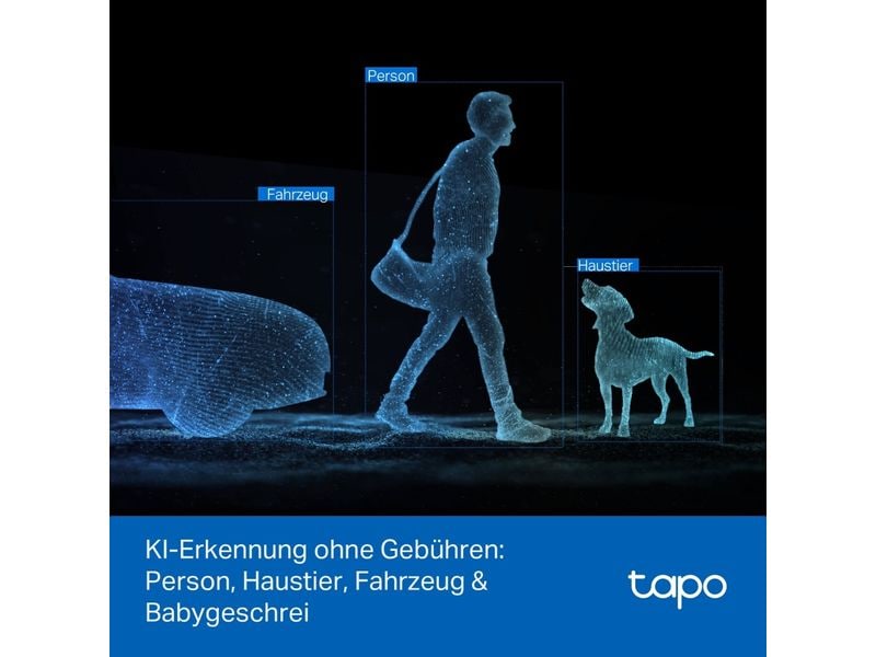 TP-Link Netzwerkkamera Tapo C246D 2K QHD, 2.4 GHz, 360°