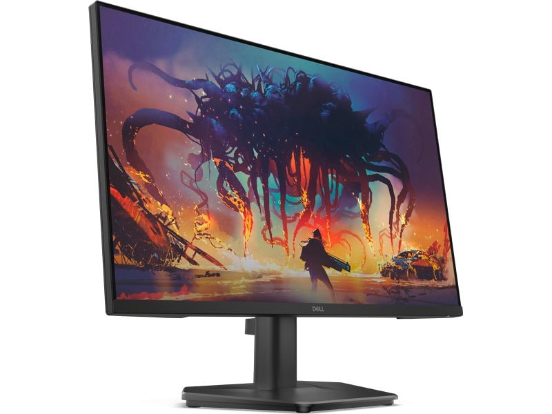 Dell Monitor SE2425HG