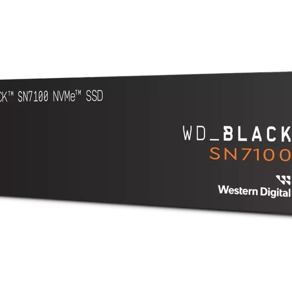 SanDisk SSD SN7100 M.2 NVMe 4000 GB