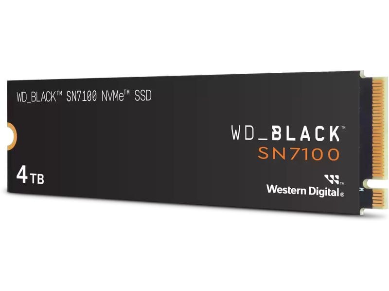SanDisk SSD SN7100 M.2 NVMe 4000 GB
