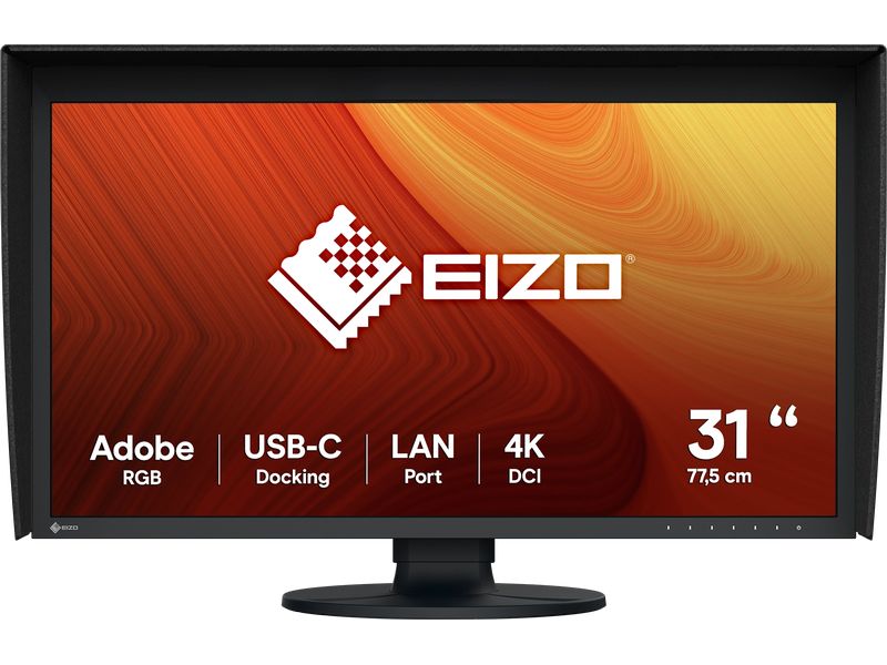 EIZO Monitor CG3100X