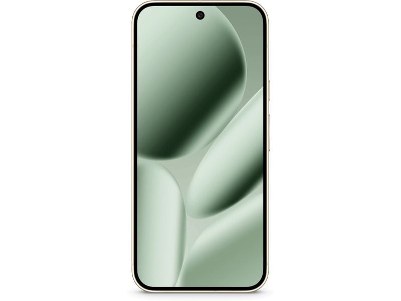 Google Pixel 10 Pro XL 256 GB Jade