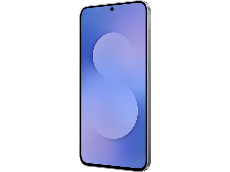 Samsung Galaxy S25 FE 128 GB Darkblue