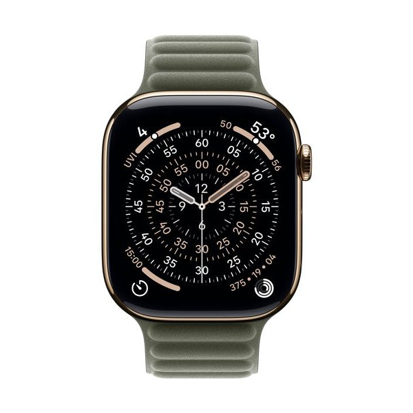 Apple Magnetic Link 46 mm Sage Gray S/M