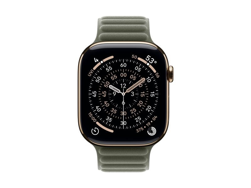 Apple Magnetic Link 46 mm Sage Gray S/M