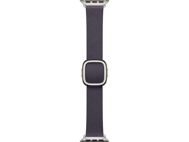 Apple Modern Buckle 42 mm Purple Large