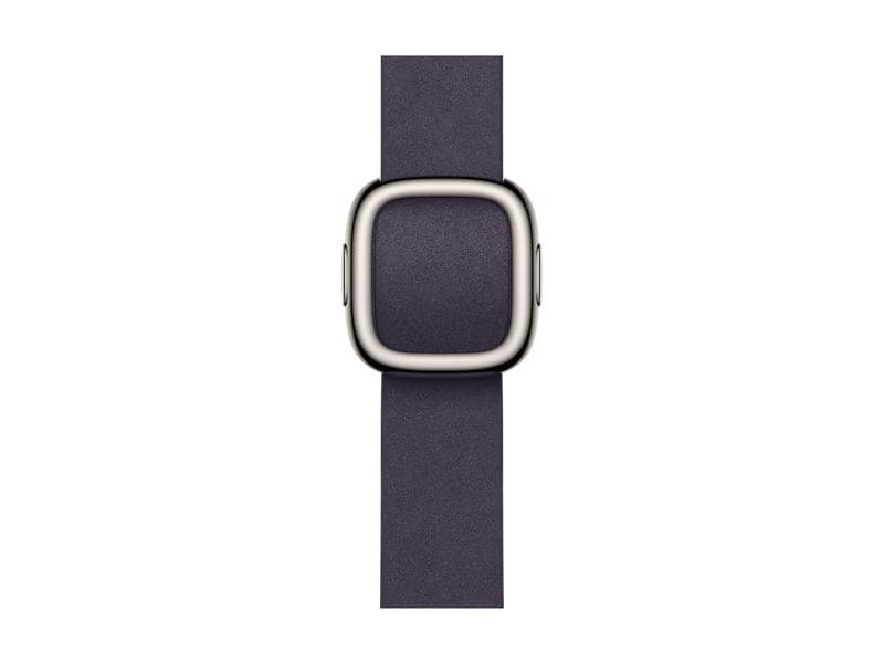 Apple Modern Buckle 42 mm Purple Large