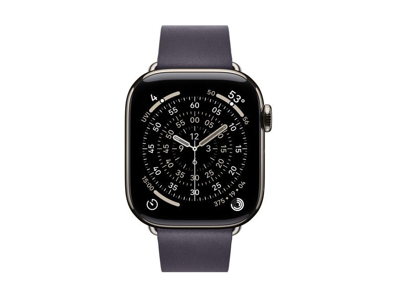 Apple Modern Buckle 42 mm Purple Large