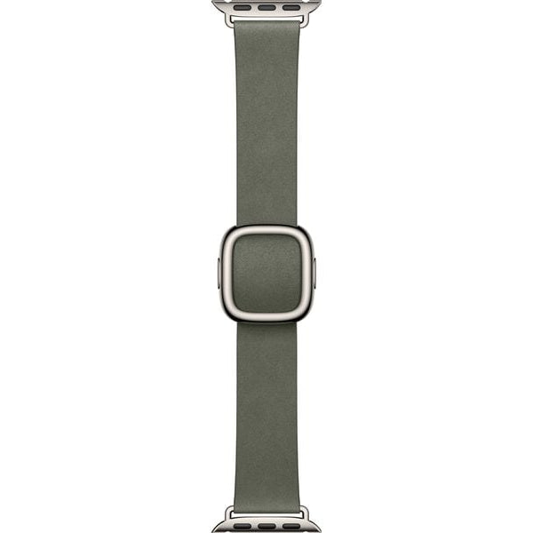 Apple Modern Buckle 42 mm Sage Gray Medium