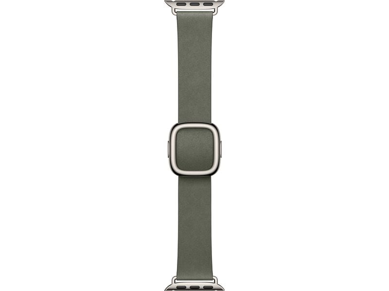 Apple Modern Buckle 42 mm Sage Gray Medium
