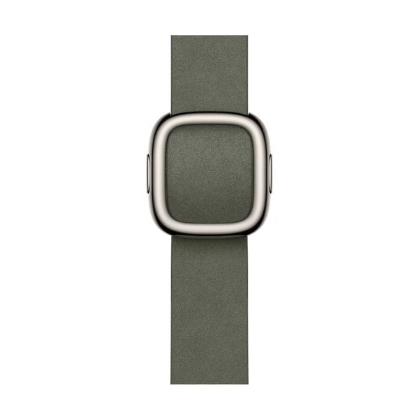 Apple Modern Buckle 42 mm Sage Gray Large
