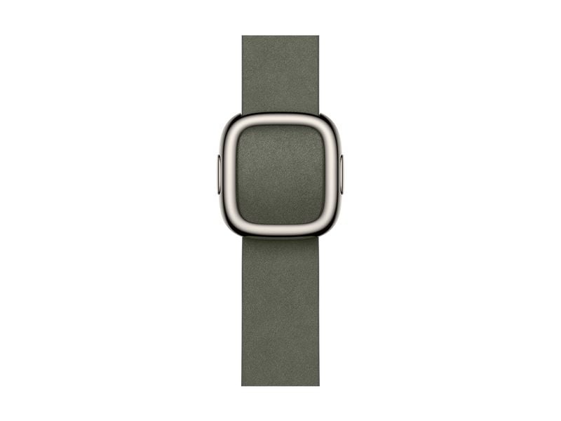 Apple Modern Buckle 42 mm Sage Gray Medium