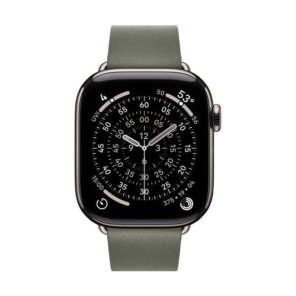 Apple Modern Buckle 42 mm Sage Gray Medium