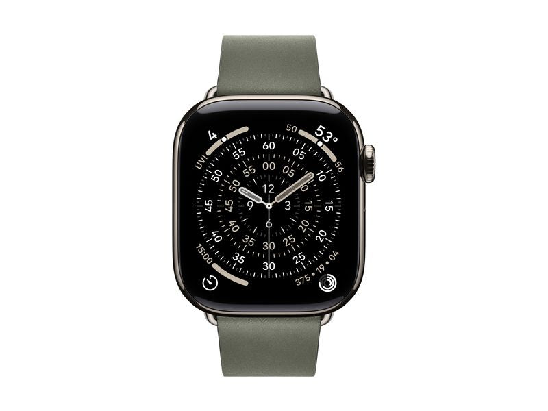 Apple Modern Buckle 42 mm Sage Gray Medium